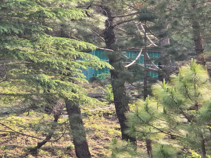  Residential Plot 181 Sq. Yards for Sale in Dhanaulti, Tehri Garhwal