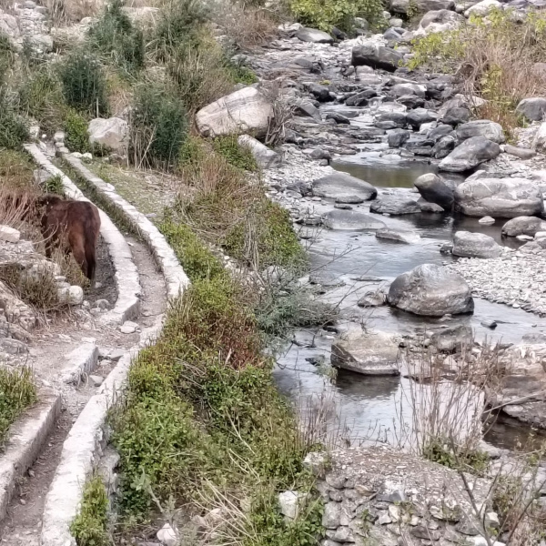  Residential Plot 120 Sq. Yards for Sale in Dhanaulti, Tehri Garhwal