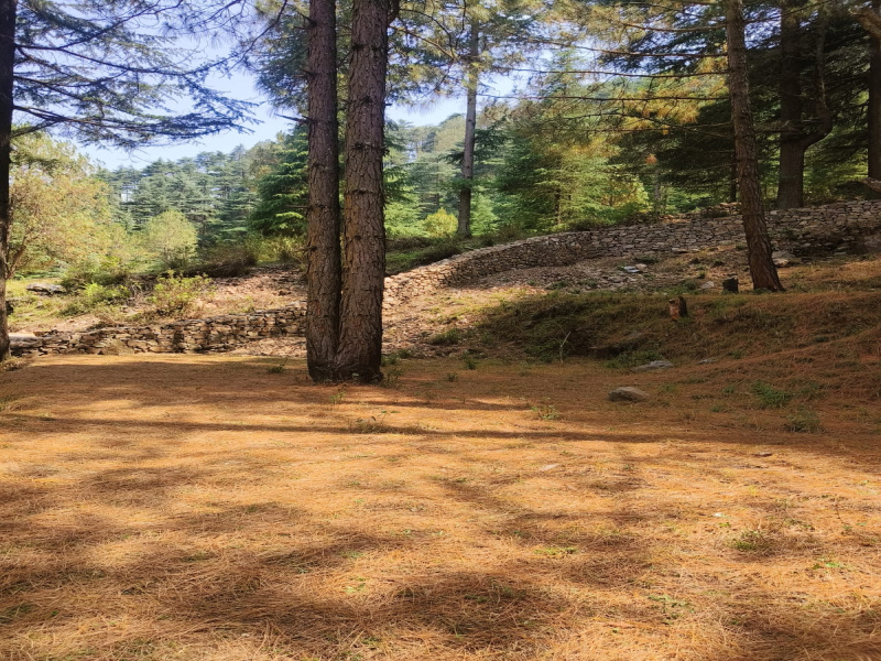  Residential Plot 160 Sq. Yards for Sale in Dhanaulti, Tehri Garhwal