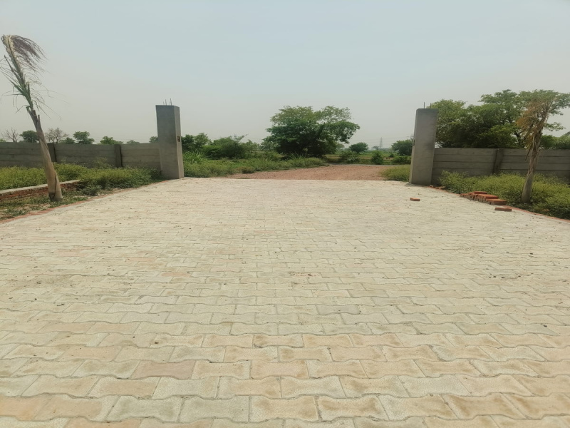  Residential Plot 127 Sq. Yards for Sale in Jhajhar, Gautam Buddha Nagar