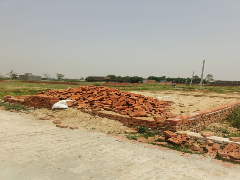  Residential Plot 310 Sq. Yards for Sale in Jhajhar, Gautam Buddha Nagar