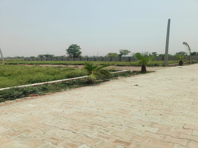  Residential Plot 240 Sq. Yards for Sale in Jhajhar, Gautam Buddha Nagar