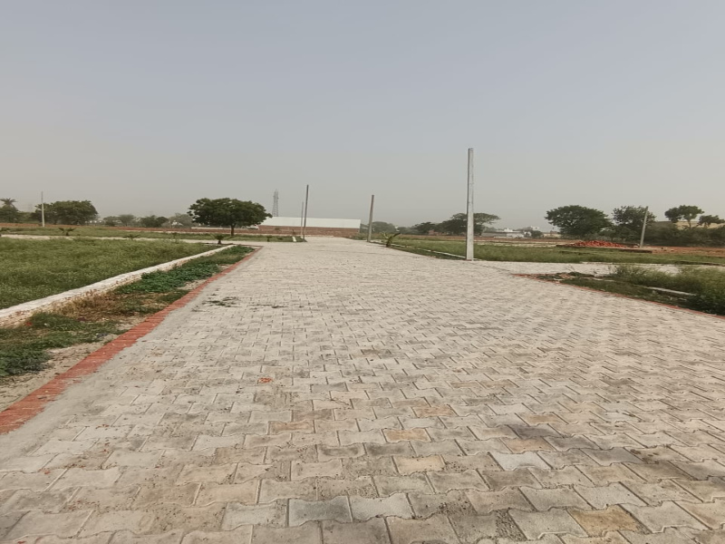  Residential Plot 240 Sq. Yards for Sale in Jhajhar, Gautam Buddha Nagar