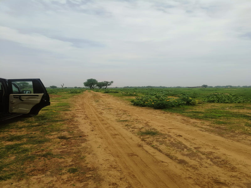  Residential Plot 115 Sq. Yards for Sale in Khatu, Sikar