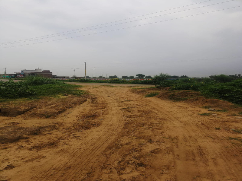  Residential Plot 115 Sq. Yards for Sale in Khatu, Sikar