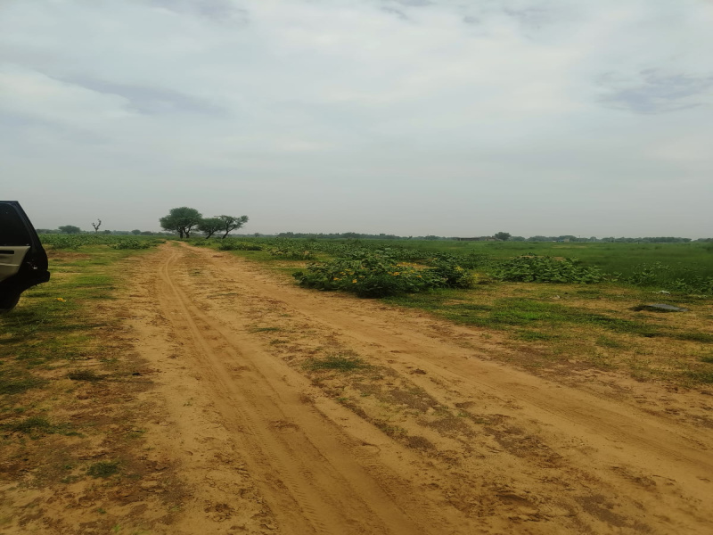  Residential Plot 115 Sq. Yards for Sale in Khatu, Sikar