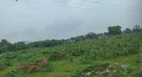  Residential Plot 120 Sq. Yards for Sale in Khatu, Sikar