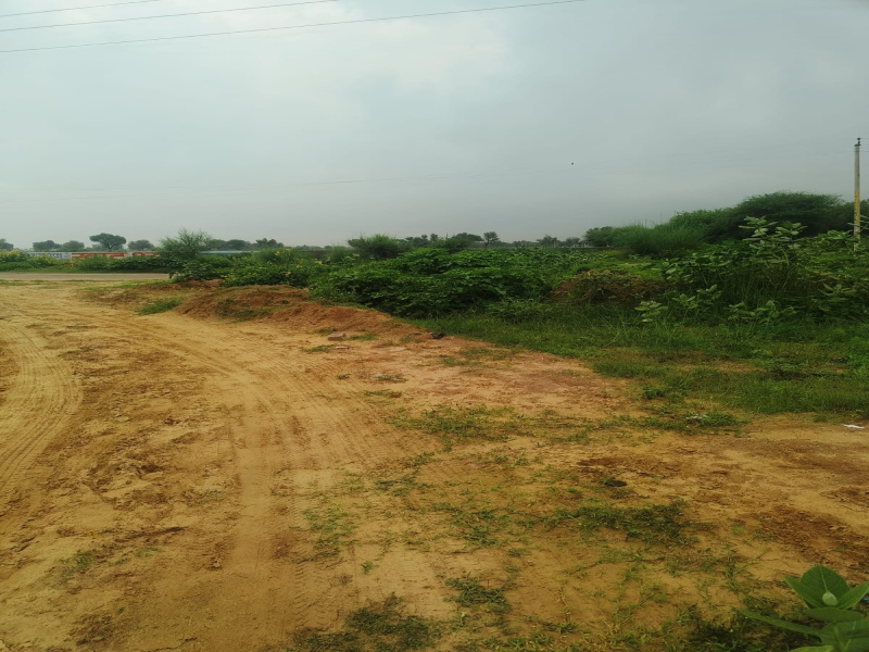  Residential Plot 120 Sq. Yards for Sale in Khatu, Sikar