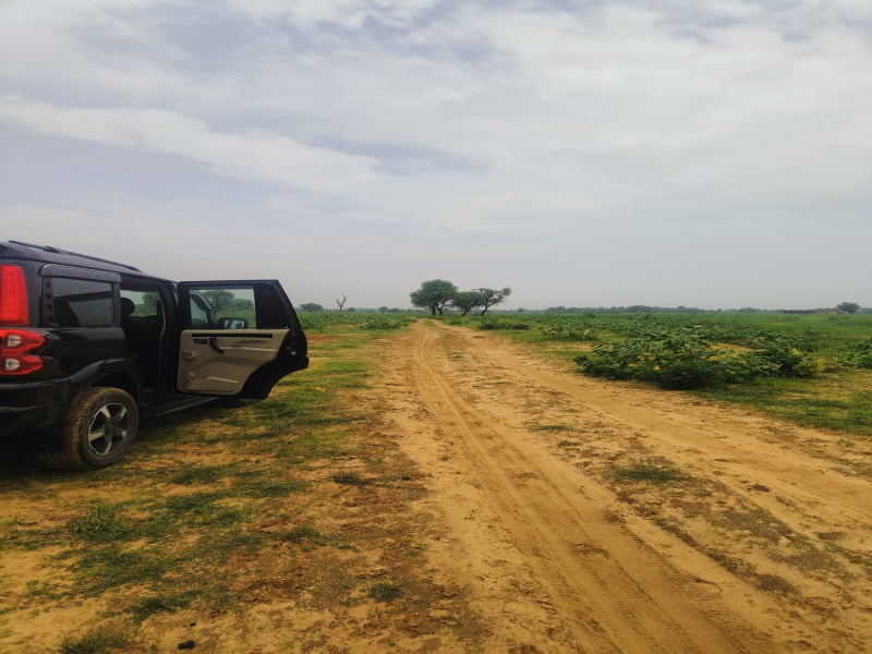  Residential Plot 120 Sq. Yards for Sale in Khatu, Sikar