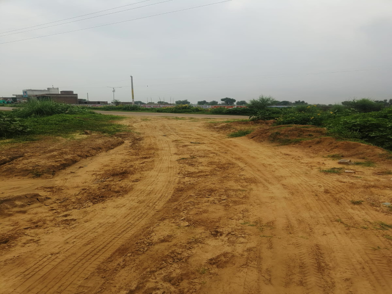  Residential Plot 200 Sq. Yards for Sale in Khatu, Sikar