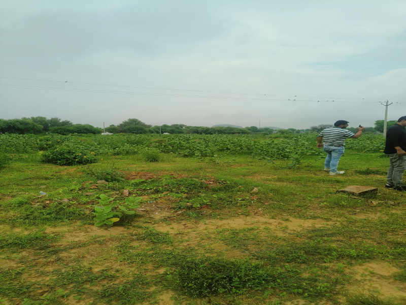  Residential Plot 200 Sq. Yards for Sale in Khatu, Sikar
