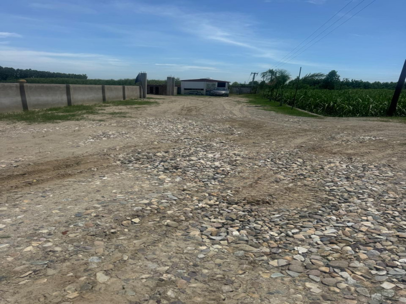  Residential Plot 999 Sq.ft. for Sale in Kankhal, Haridwar