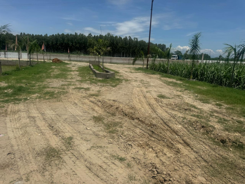  Commercial Land 1000 Sq.ft. for Sale in Kankhal, Haridwar