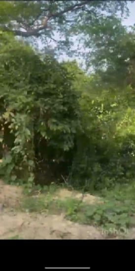  Residential Plot 1008 Sq. Yards for Sale in Hastinapur, Meerut