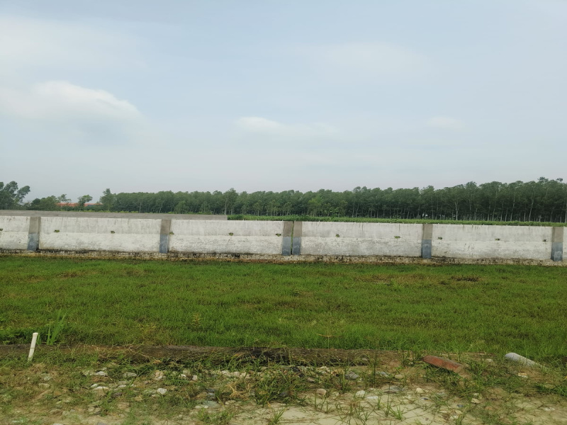  100 Sq. Yards Residential Plot for Sale in Patanjali Yogpeeth, Haridwar