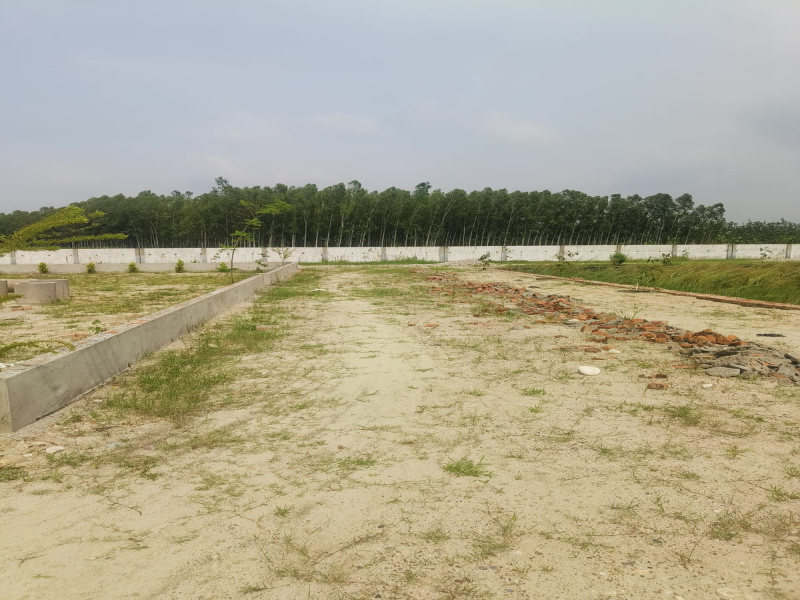  111 Sq. Yards Residential Plot for Sale in Patanjali Yogpeeth, Haridwar