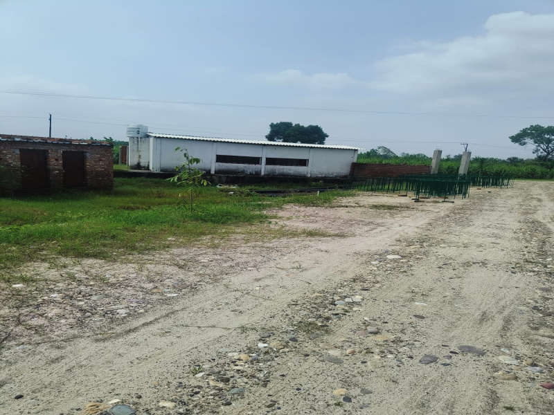  111 Sq. Yards Residential Plot for Sale in Patanjali Yogpeeth, Haridwar