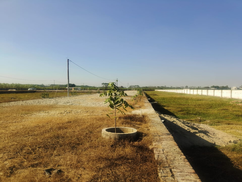  111 Sq. Yards Residential Plot for Sale in Patanjali Yogpeeth, Haridwar