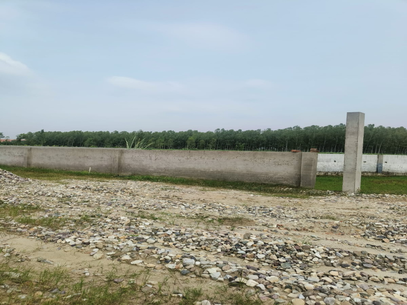  150 Sq. Yards Residential Plot for Sale in Patanjali Yogpeeth, Haridwar