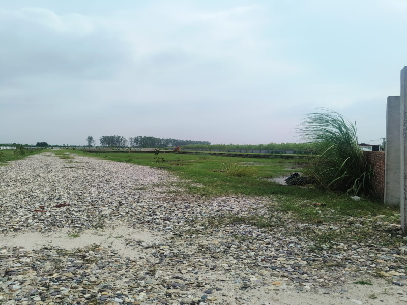  150 Sq. Yards Residential Plot for Sale in Patanjali Yogpeeth, Haridwar
