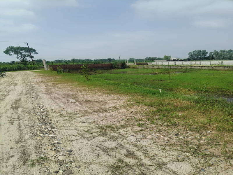  200 Sq.ft. Residential Plot for Sale in Patanjali Yogpeeth, Haridwar
