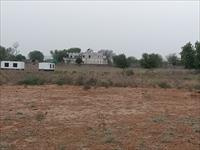 Agricultural Land 20 Bigha for Sale in Jaipur Road, Behror