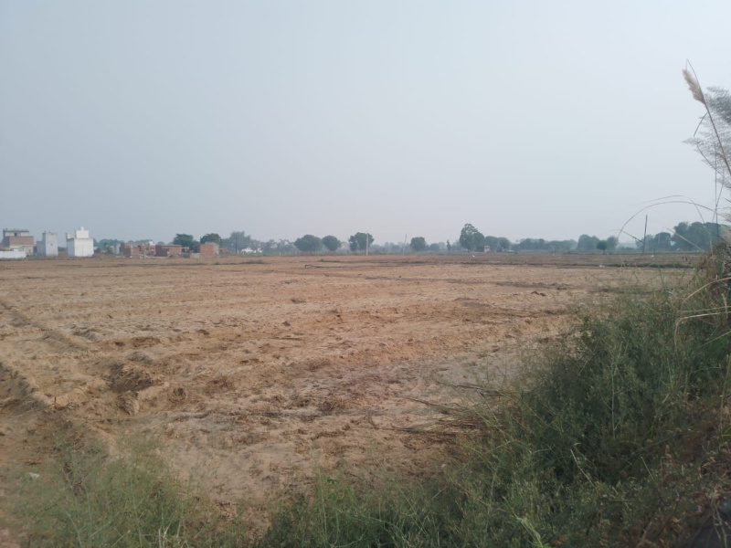  Agricultural Land 1 Acre for Sale in Farrukhnagar, Gurgaon