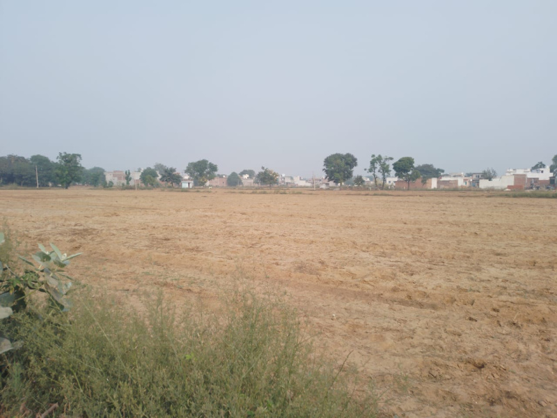  Agricultural Land 1 Acre for Sale in Farrukhnagar, Gurgaon