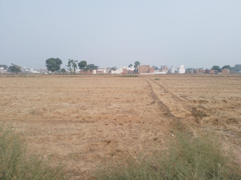  Agricultural Land 1 Acre for Sale in Farrukhnagar, Gurgaon