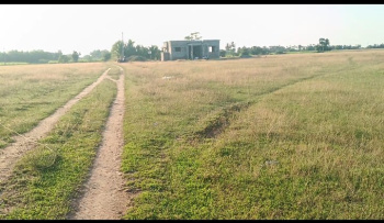  Residential Plot for Sale in Acharapakkam, Chengalpattu