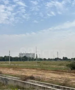 Agricultural Land for Sale in Jewar, Gautam Buddha Nagar
