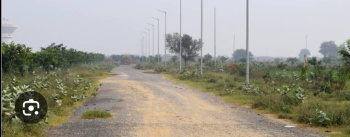 Commercial Land for Sale in Dankaur, Gautam Buddha Nagar