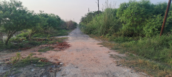  Commercial Land for Sale in Dankaur, Gautam Buddha Nagar