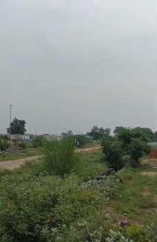  Commercial Land for Sale in Dankaur, Gautam Buddha Nagar