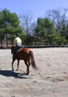  Residential Plot for Sale in Techzone 4, Greater Noida