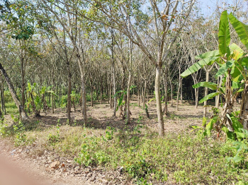  Agricultural Land for Sale in Nooranad, Alappuzha