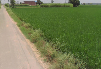  Industrial Land for Sale in Lalru, Mohali