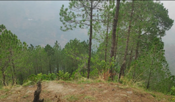  Agricultural Land for Sale in Lansdowne, Pauri Garhwal