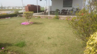Residential Plot for Sale in Dasna, Ghaziabad