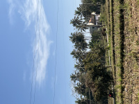  Residential Plot for Sale in Bhadravati, Shimoga