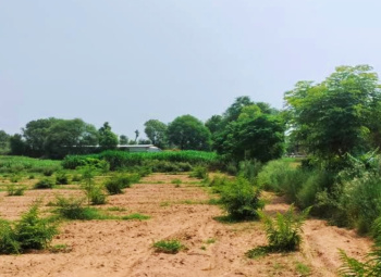  Agricultural Land for Sale in Dudu, Jaipur