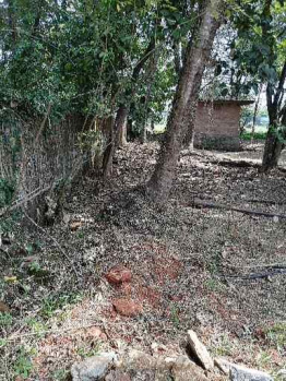  Residential Plot for Sale in Chalakudy, Thrissur