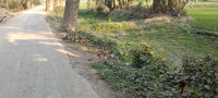  Agricultural Land for Sale in Bhangar Raghunathpur, South 24 Parganas