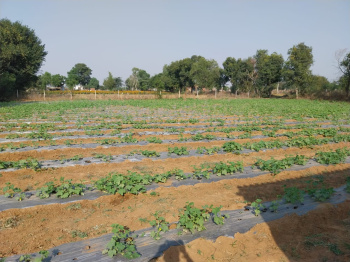  Agricultural Land for Sale in Jaipur Road, Behror