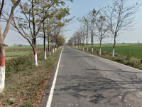  Residential Plot for Sale in Bihta, Patna