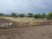 Residential Plot for Sale in Trimbakeshwar, Nashik