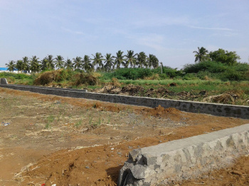  Commercial Land for Sale in Nallur, Tirupur