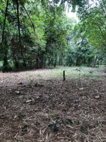  Residential Plot for Sale in Nagampadam, Kottayam