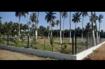  Agricultural Land for Sale in Othakalmandapam, Coimbatore