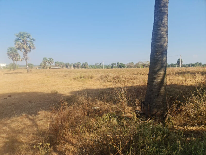 Agricultural Land 3 Acre for Sale in Pollachi, Coimbatore